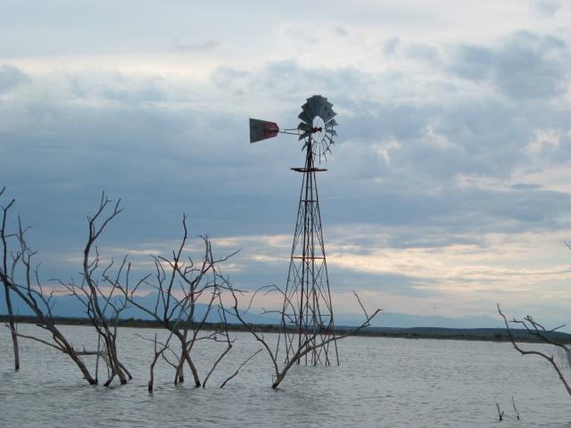 DSCF0234