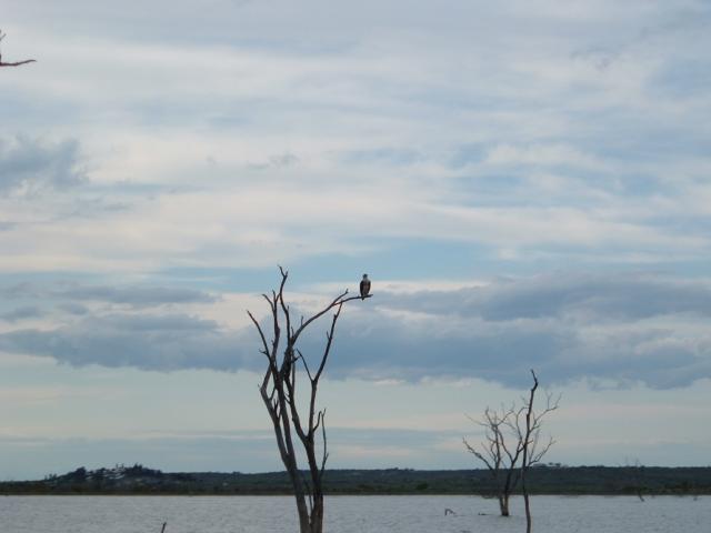 DSCF0236