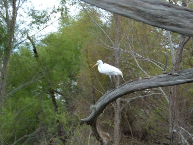 DSCF0238