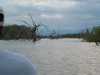 DSCF0235