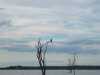 DSCF0236